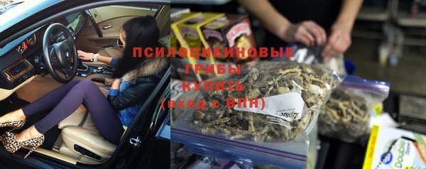 стаф Наволоки