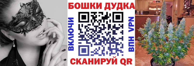 Шишки марихуана Amnesia Тетюши